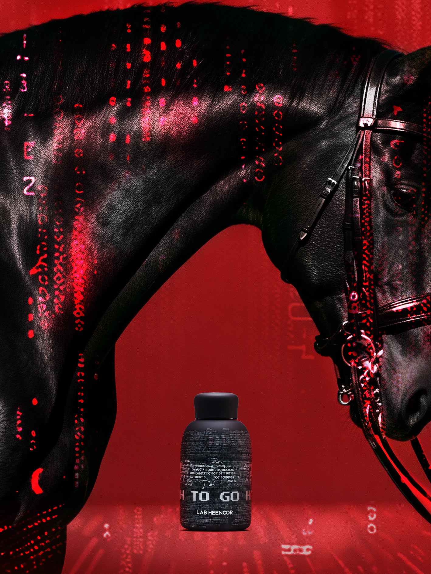 TO GO 430 YEAR OF HOURSE